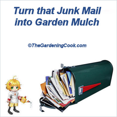 use your junk mail in your garden to make mulch, gardening