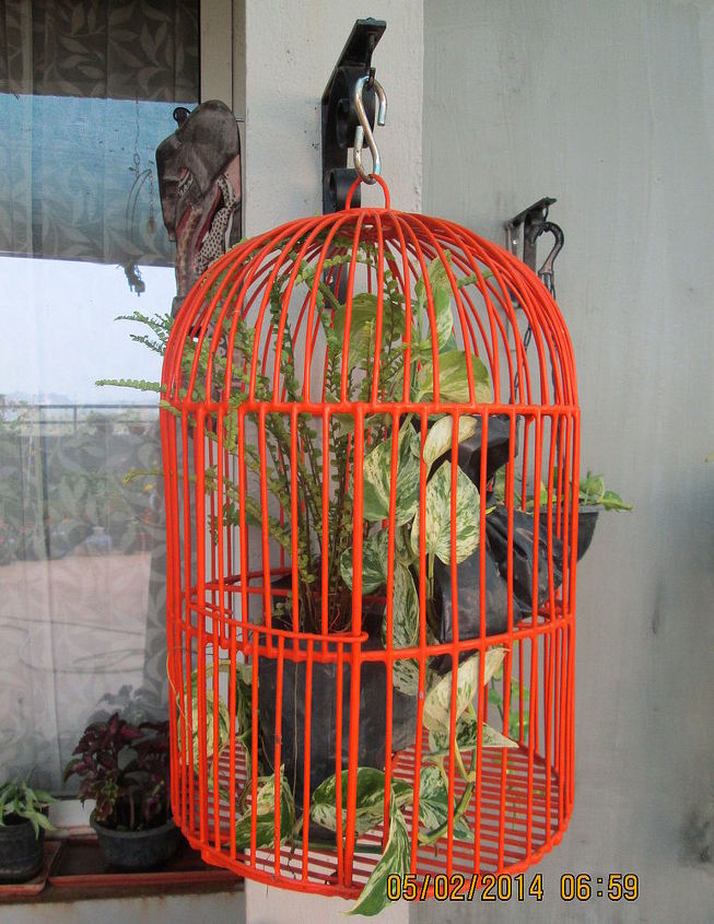 repurposed articles in the garden, gardening, repurposing upcycling, Bird Cage