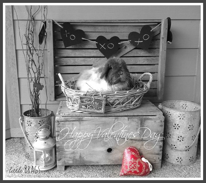 valentines day photo session, seasonal holiday d cor, valentines day ideas