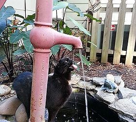 why fountains are great in the yard or landscape, pets animals, ponds water features