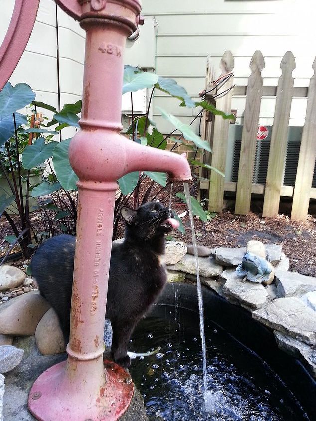 why fountains are great in the yard or landscape, pets animals, ponds water features