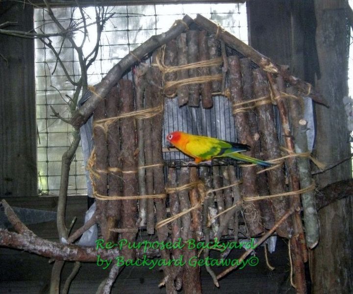 re purposed backyard, gardening, repurposing upcycling, Branch and twig birdcage cover