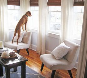 how to make pottery barn like linen curtains, home decor, living room ideas, window treatments, windows, Even Penny gets to enjoy a better view