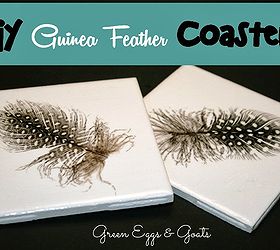 diy guinea feather coasters, crafts, decoupage
