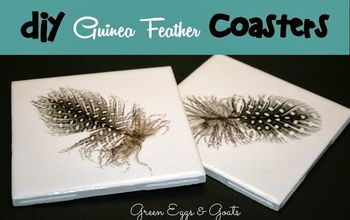 DIY Guinea Feather Coasters
