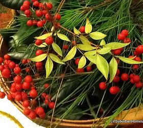 cheap chic christmas centerpiece, christmas decorations, crafts, seasonal holiday decor, Holiday greenery all found in our yard I love free items available close by Using our natural resources If you do not have to collect the holiday greenery this project is only 10 minutes