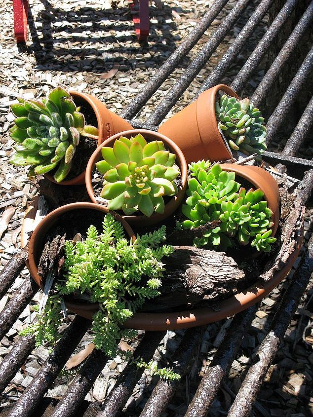 garden art and features, flowers, gardening, outdoor living, succulents, succulents sitting on a grate set on tree stumps The grate was found buried in the garden