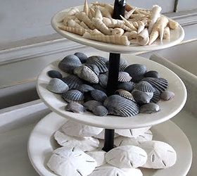 30 ways to display a seashell collection, home decor, Three tier tray holds a seashell collection and sand dollars found on the beach