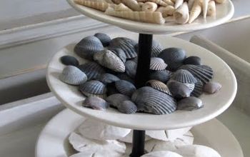 30 Ways to Display a Seashell Collection