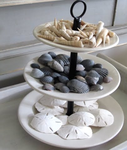 30 ways to display a seashell collection, home decor, Three tier tray holds a seashell collection and sand dollars found on the beach