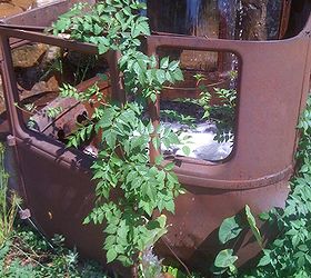 antique car pondless waterfall, landscape, outdoor living, ponds water features, repurposing upcycling, Bog area in the car that feeds water out the door and the trunk