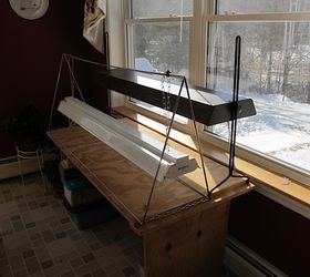 time to start some seeds, container gardening, gardening, I have a simple grow table contracted of leftover pieces of plywood I place the table by a west facing window and add aglow light