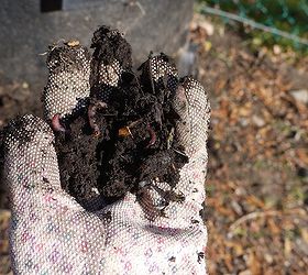 compost is black gold, composting, gardening, go green