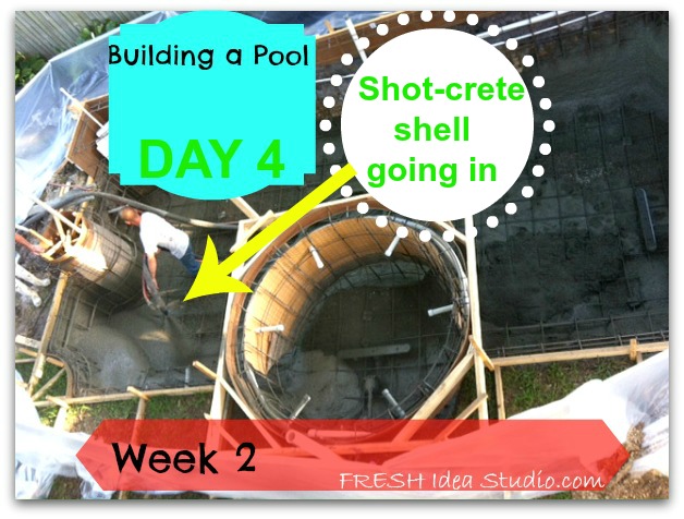 week 2 of counting down to a backyard escape, outdoor living, pool designs, Shooting the shell was a busy day 3 truck loads of shot crete went into the big hole in our backyard