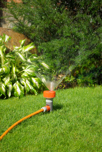 tips on how to get a lush and thick lawn, gardening, landscape