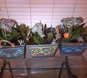 homemade christmas gifts succulent planters, christmas decorations, container gardening, flowers, gardening, seasonal holiday decor, succulents, Planted 6 to 8 plants per container using sandy succulent type dirt and rocks filling the bottom of the pot