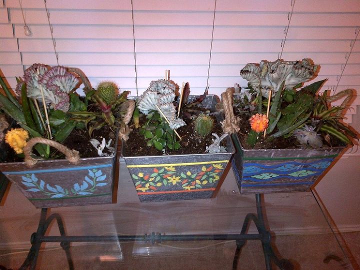 homemade christmas gifts succulent planters, christmas decorations, container gardening, flowers, gardening, seasonal holiday decor, succulents, Planted 6 to 8 plants per container using sandy succulent type dirt and rocks filling the bottom of the pot