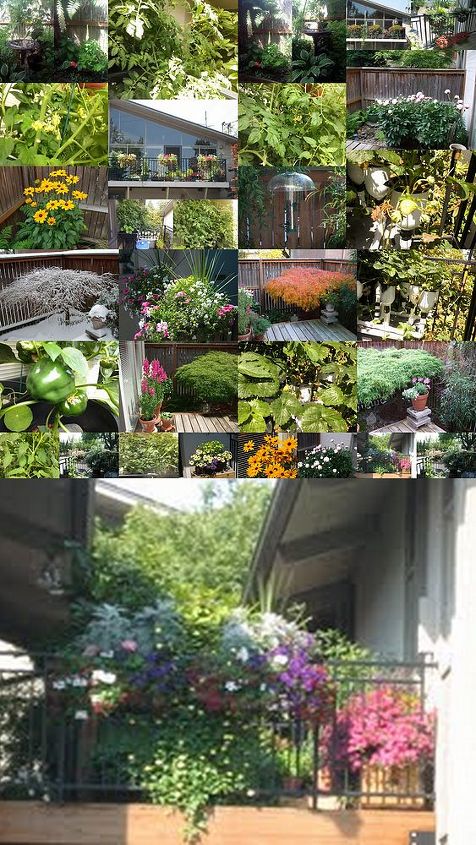 iron house decks and backyards, decks, gardening, outdoor living, Gardening at Iron House Lake Oswego