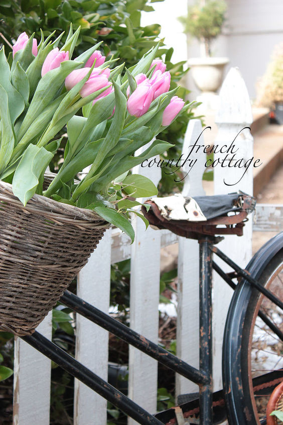 vintage bicycle planter for spring, gardening, repurposing upcycling