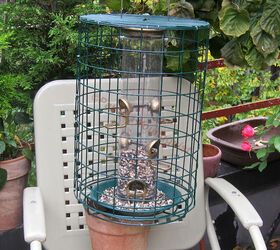 addendum to a post bird feeder protector, outdoor living, pets animals, Shine Feeder with new cage for purposes of a double tray