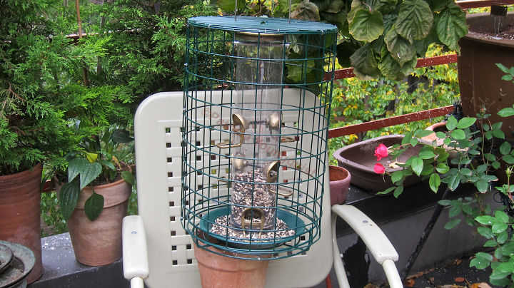 addendum to a post bird feeder protector, outdoor living, pets animals, Shine Feeder with new cage for purposes of a double tray