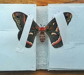 moth for wall art, crafts, home decor, Mounting the wings