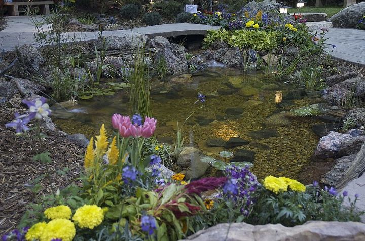 its garden and home show season in colorado, outdoor living, ponds water features, Highlighted by underwater lighting this crystal clear pond is showcased at the Colorado Home show It has a bridge over the stream cascading into it