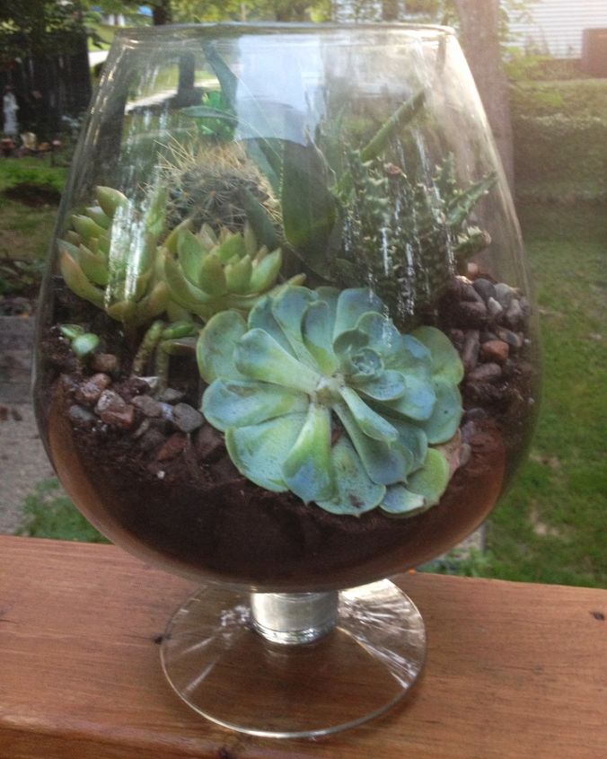diy succulent terrarium, crafts, flowers, gardening, succulents, terrarium, It was very hard to get a good picture with the reflections but you get the idea Fun and easy