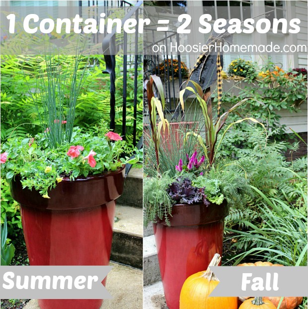 container garden for fall, container gardening, flowers, gardening, perennials, seasonal holiday d cor, Turn your Summer planter into one for Fall
