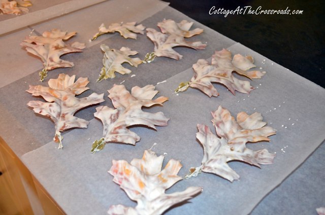 how to make plaster leaves, crafts, seasonal holiday decor, thanksgiving decorations, plastered leaves drying