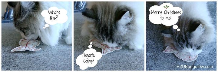 diy organic catnip toy, crafts, pets animals, Our cats love them and we are happy its organic