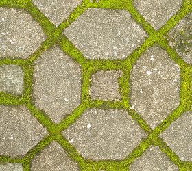 diy a charming stone and moss walkway, concrete masonry, gardening