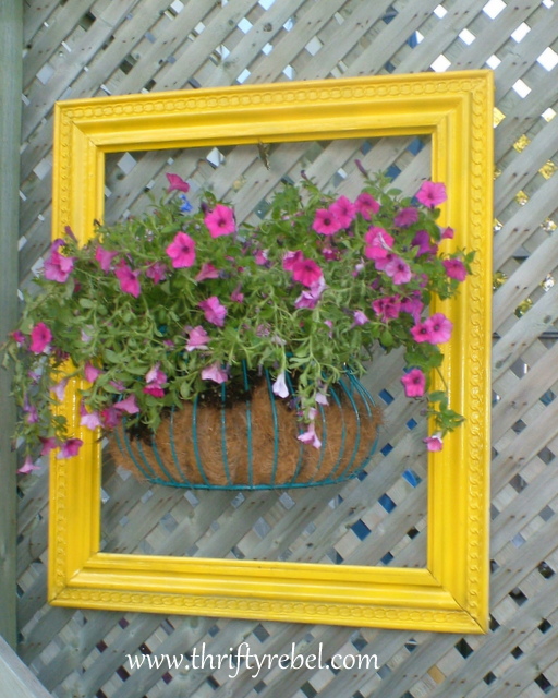 framing a planter of flowers, flowers, gardening, repurposing upcycling, With just a little spray paint I now have a 3D piece of art on my back deck