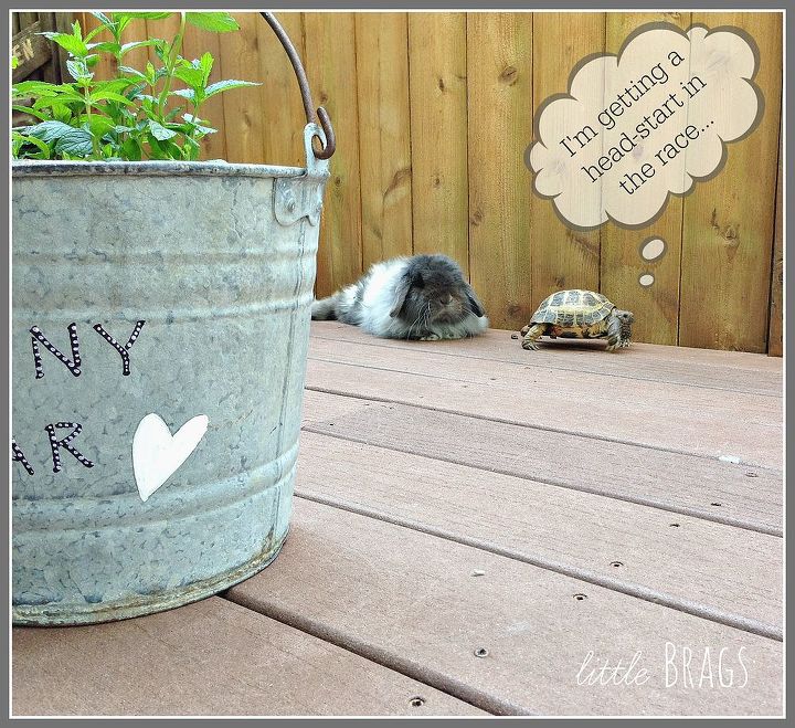 paint your old buckets, crafts, flowers, gardening, repurposing upcycling