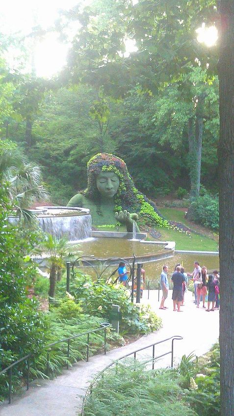 atlanta botanical gardens for date night, gardening, succulents, Got a sneak peak at this as we walked across the canopy walk Couldn t wait to get down there and see it close up