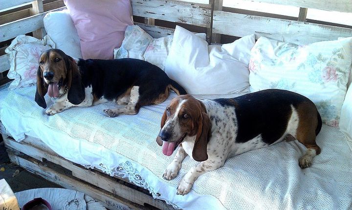 mi sof rstico de palets de estilo ranchero, Esta cama ha sido un lugar de descanso para muchos perros