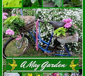 a may garden our fairfield home garden, flowers, gardening, perennials, seasonal holiday d cor, wreaths, A May Garden Our Fairfield Home Garden