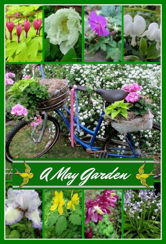 um jardim de maio nossa casa e jardim fairfield, Um jardim de maio nossa casa e jardim Fairfield