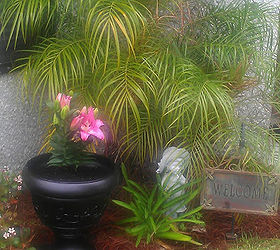 a painted planter, gardening, outdoor living, Now housing an Oriental Lily
