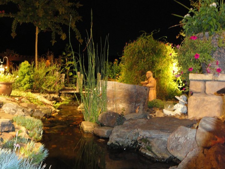 moonlight pond tour showcases custom water gardens amp landscape lighting in, outdoor living, ponds water features, Custom Water Gardens Landscape Lighting aren t the only things that will inspire you on this night