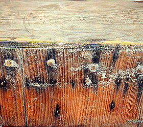 rustic old wood bench conundrum, painted furniture, repurposing upcycling, rustic furniture, shabby chic, woodworking projects, And those nails