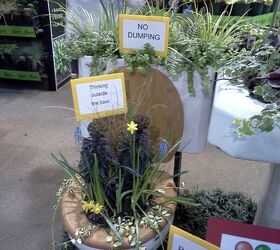 pot rambling, container gardening, flowers, gardening, hydrangea, perennials, hehe at the trade show