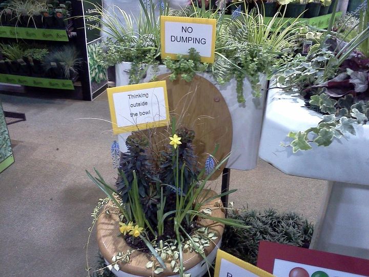 pot rambling, container gardening, flowers, gardening, hydrangea, perennials, hehe at the trade show