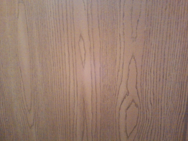 Can Hollow Core Doors Be Painted Hometalk
