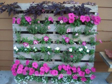 20 creative ways to upcycle pallets in your garden, gardening, pallet, repurposing upcycling, Hardwood pallet upcycled into a stunning vertical garden perfect for a narrow balcony or limited space Repeating coordinated colours works well You can find the DIY instructions in the post