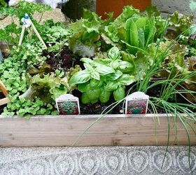 garden journal, container gardening, gardening, outdoor living