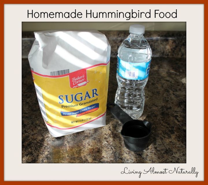 homemade hummingbird food, homesteading, pets animals