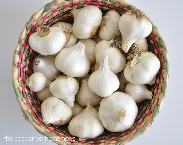 Fresh garlic, anyone!