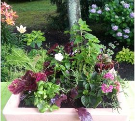 a vegetable and herb planter pretty enough for the front door, container gardening, flowers, gardening, outdoor living, There is no reason to think a beautiful container garden has to be limited to flowers Vegetables and herbs and be just as head turning