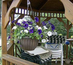 growing flowers plants vegetables and flowers on my deck, flowers, gardening, urban living, Just a little color under the gazebo